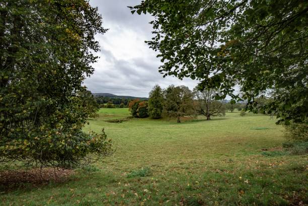 istock Scottish Countryside Leaves Beginning To Turn. 1350189116