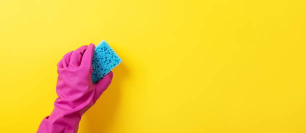 istock A hand in a pink rubber glove holds a blue  washing sponge 1350192663