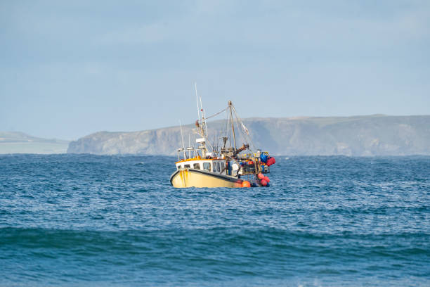 barco de pesca britânico amarelo arrastão sozinho nas ilhas do canal inglês águas depois de deixar a ue - recreational boat small nautical vessel sea - fotografias e filmes do acervo