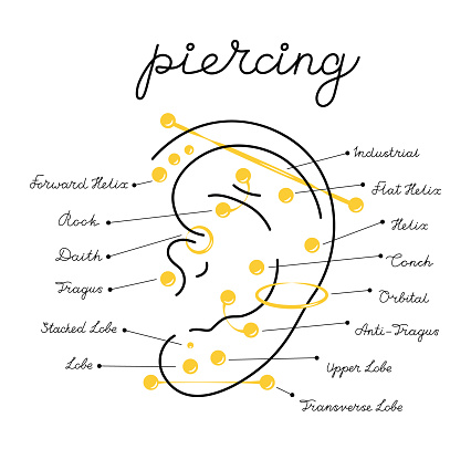 Set icons different types of ear pierced. Vector infographic elements illustration. International body piercing day. Icon Body jewelry