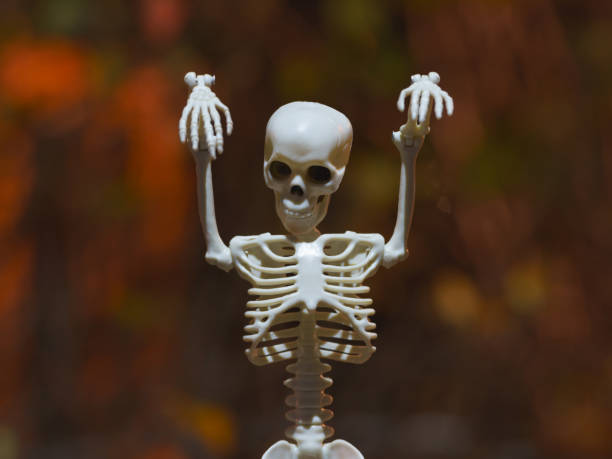 istock Skeleton toy sitting on the bench in the public park 1350198641