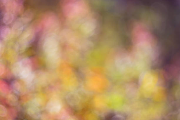 istock Pink-yellow soft background of multicolored circles 1350199968