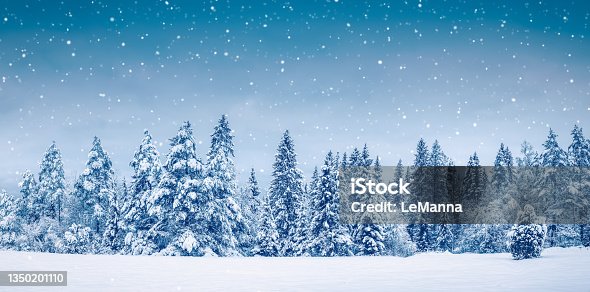 istock Beautiful view at the forest in snowfall 1350201110