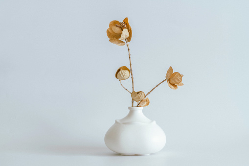 Modern interior decoration, dried flowers and stylish ceramic vases