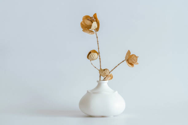 modern interior decoration, dried flowers and stylish ceramic vases - nature herb flower arrangement cut flowers imagens e fotografias de stock