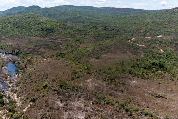 istock Chapada Park of the veadeiros 1350206062