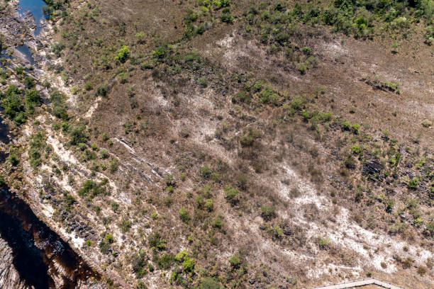 istock Chapada Park of the veadeiros 1350206145