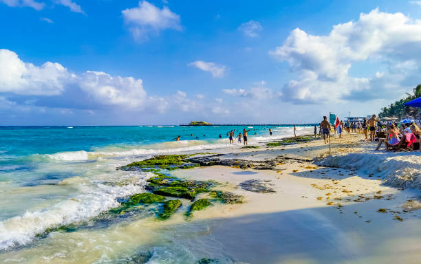 панорама тропического мексиканского пляжного пейзажа полна людей на пляжных вечеринках на отдыхе в плайя-дель-кармен мексика. - mayan riviera стоковые фото и изображения