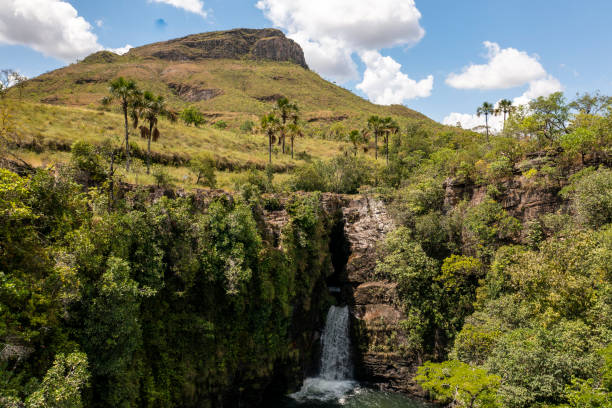 istock Chapada Park of the veadeiros 1350206172