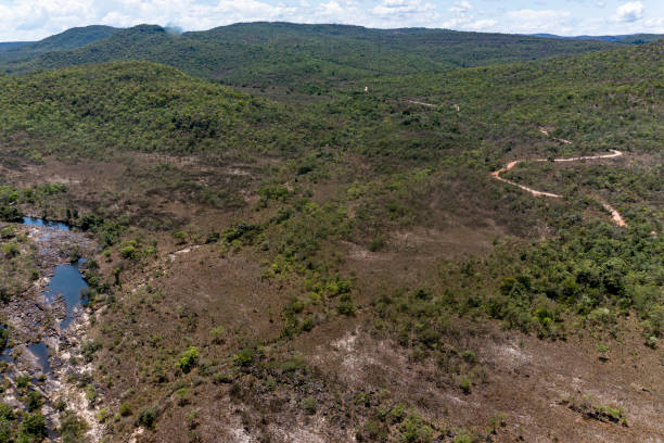 istock Chapada Park of the veadeiros 1350206221