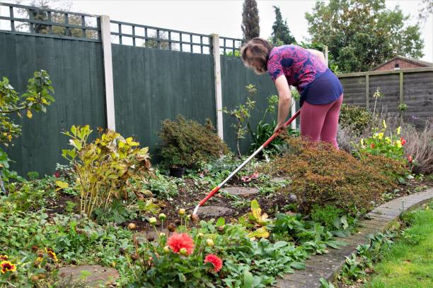 istock Putting your hoe into rigorous motion in autumn. 1350217204