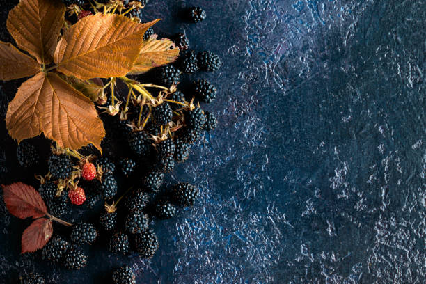 Fresh blackberries on dark blue vintage background. Top view.