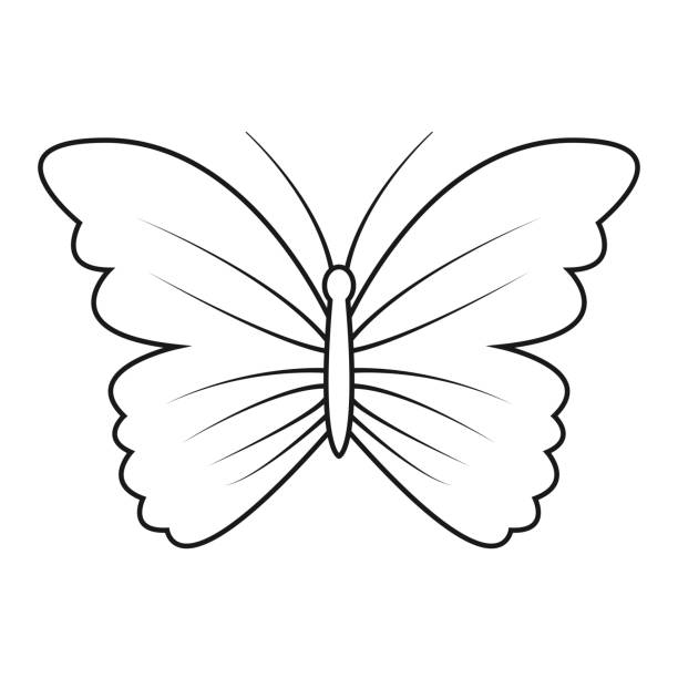 Butterfly Vector minimalistic art. Butterfly Vector minimalistic art. Black and white. White background. Line drawing. simple butterfly outline pictures stock illustrations