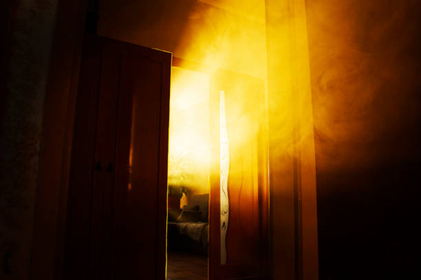 Warm morning light pouring into the house