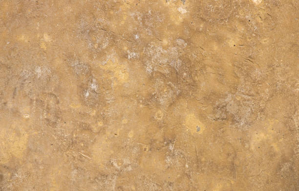 istock texture of sandstone nature stone - grunge stone surface background 1350223758