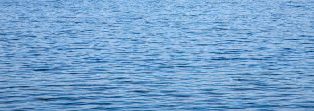 istock texture of surface of blue water - sea background 1350225729