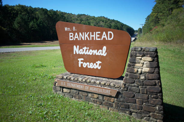istock Wm B Bankhead National Forest sign on road 1350227266
