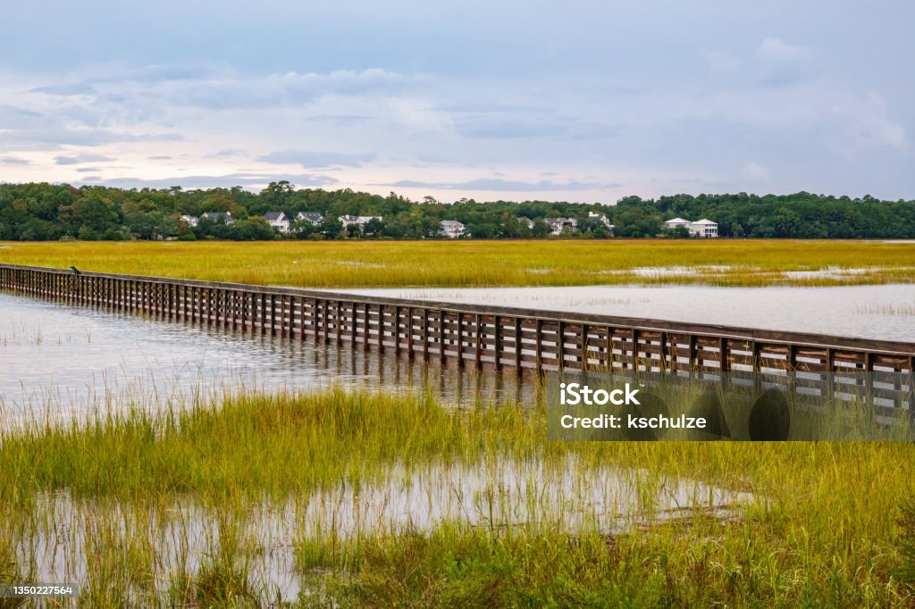 Boardwalk across marshy lake in southern state park Marshy lake bisected by boardwalk at Huntington Beach State Park, Murrells Inlet, South Carolina, USA, with view of neighboring houses by woods Murrells Inlet Stock Photo