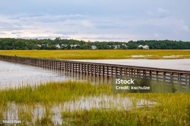 Boardwalk Across Marshy Lake In Southern State Park Stock Photo - Download Image Now