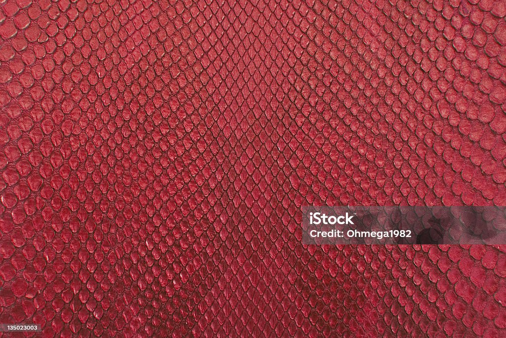Red Python Snake Skin Texture Background Stock Photo - Download Image ...
