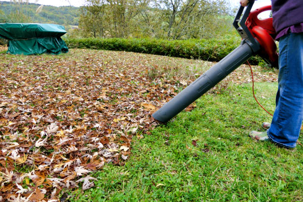 istock Clearing Autumn Leaves 1350235289