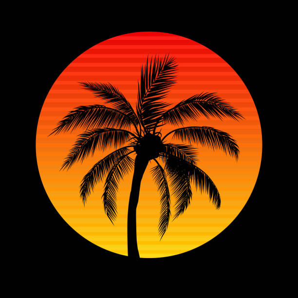 illustrazioni stock, clip art, cartoni animati e icone di tendenza di tramonto con palme, sole e palme - north shore hawaii islands oahu island