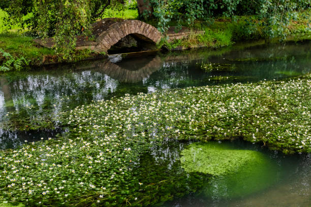 istock Bourton-on-the-Water and the river Windrush. 1350238225