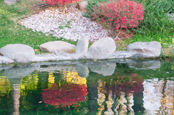 赤い茂みと灰色の石を持つ湖岸 - 2599 ストックフォトと画像
