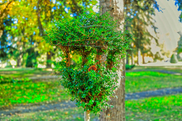 istock Birdhouse on Tree in Public Park 1350244536