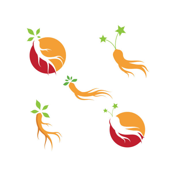 ilustrações de stock, clip art, desenhos animados e ícones de ginseng vector illustration. ginseng root logo symbol - ginseng root herbal medicine panax