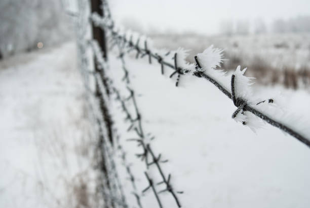 clôture de barbelés recouverte de givre en hiver autour de la zone fermée - winter wire barbed wire protection photos et images de collection