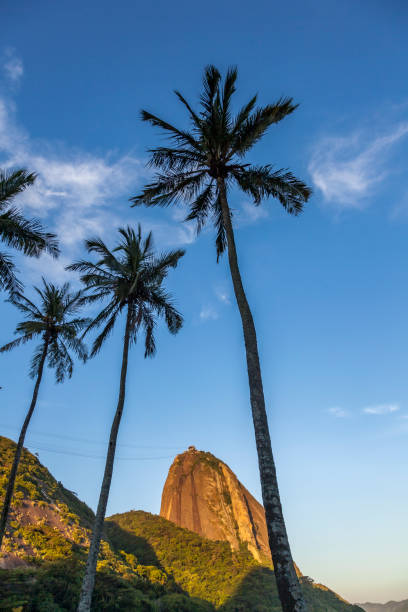 The Sugarloaf mountain is a symbol of Rio de Janeiro city.