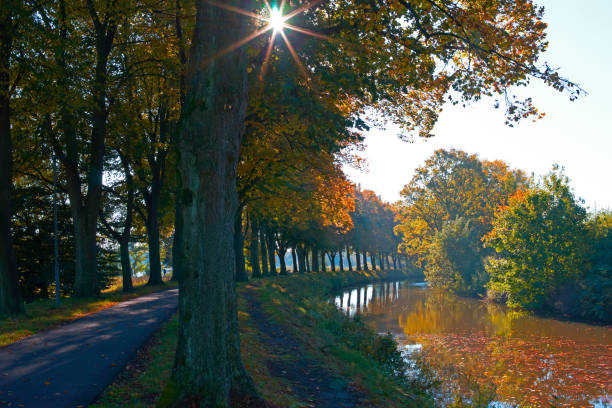 A row of beeches is planted a both sides of a bicycle path. The Nordhorn-Almelo Canal  is at the right. The autumn sun is standing low and is creating a lens flare thru the foliage