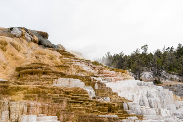 terrasses de calcium pittoresques et sans vie à mammoth hot springs, parc national de yellowstone - geothermy photos et images de collection