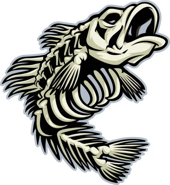 Vector illustration of Bass Skeleton