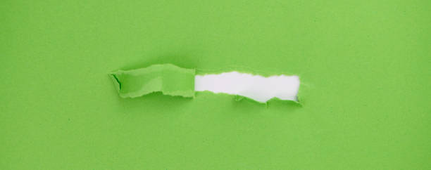 green paper which is torn in the middle, copy space for any text, web banner size stock photo