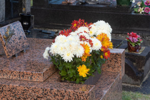 istock Chrysanthemum plants on tombstones 1350269808