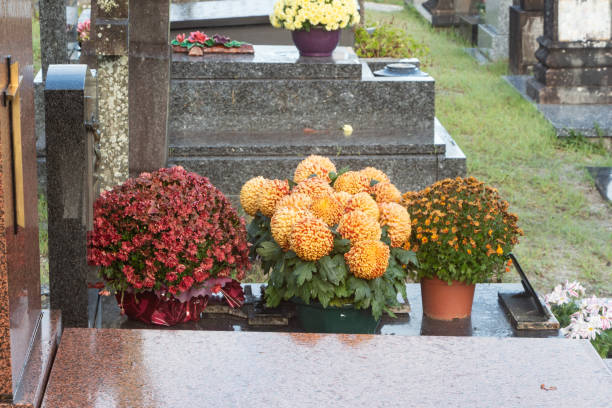 istock Chrysanthemum plants on tombstones 1350269950