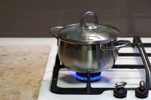 una comida se cocina en una sartén de acero inoxidable con una tapa de vidrio en una estufa de gas - blue flame natural gas fireplace fotografías e imágenes de stock