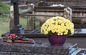 chrysanthemenpflanzen-auf-grabsteinen.jpg?b=1&s=170x170&k=20&c=-TTdQSVRDM1gYQQ-nvJ8FtBxEuREgWozGweAadpYHr4=