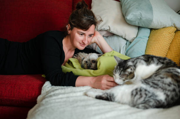 Woman playing with her cat and a dog