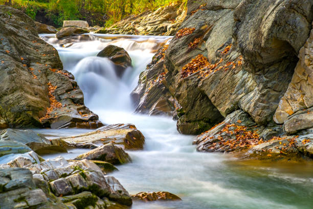 istock Mountain river with small waterfall with clear turquoise water falling down between wet boulders with thick white foam on autumn bright day. 1350271835