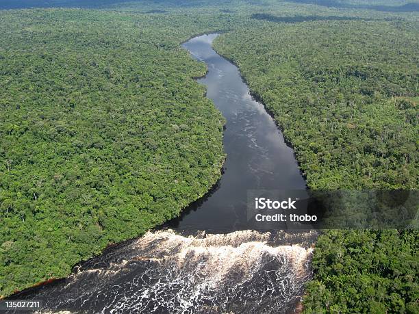 Tropical Rio Amazonas - Fotografias de stock e mais imagens de Região Amazónica - Região Amazónica, Rio Amazonas, Reflorestação