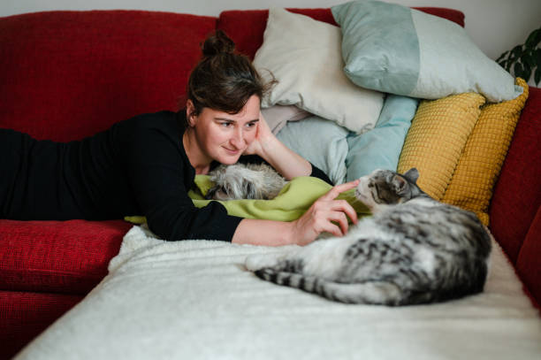 istock Woman playing with her cat and a dog 1350272258