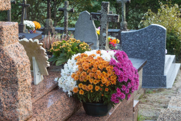 istock Chrysanthemum plants on tombstones 1350277068