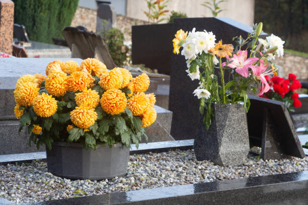 istock Chrysanthemum plants on tombstones 1350278704