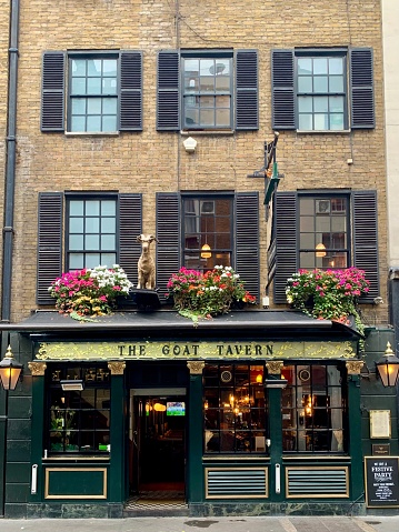 LONDON, ENGLAND. Facade of The Goat Tavern pub at Stafford street in Mayfair. Selective focus. Vertical