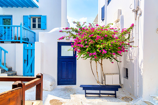 Iconic Mykonos picture. Famous old town street with white houses, blue fences and bougainvillea flower. Mykonos island, Greece.