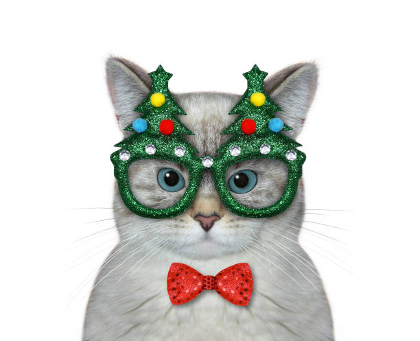 istock Cat ashen wears Christmas mask 2 1350280223