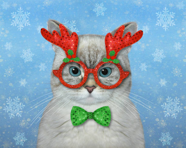 istock Cat ashen wears Christmas mask 4 1350280224